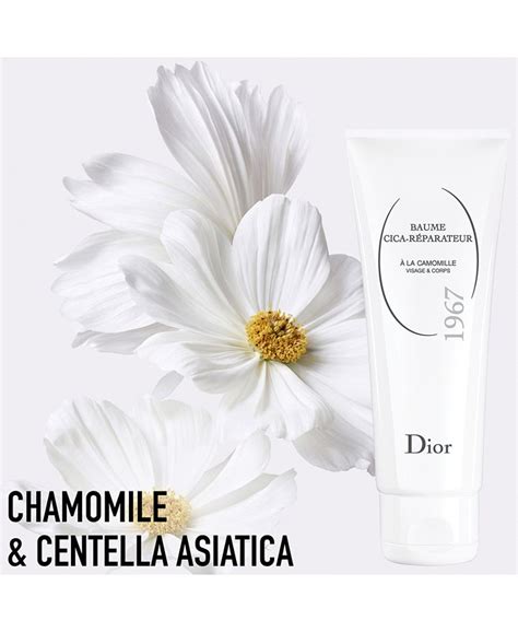 dior cica|DIOR Cica Recover & Repair Multi.